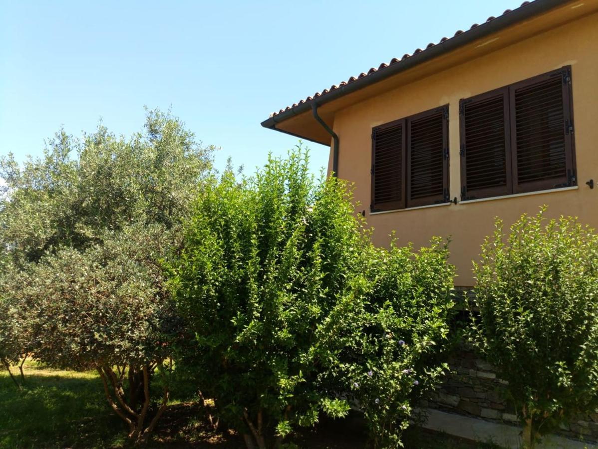 Viliam B&B Olbia Exterior photo